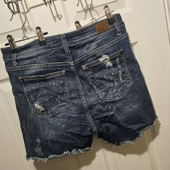 Judy Blue shorts - Picture 3 of 3